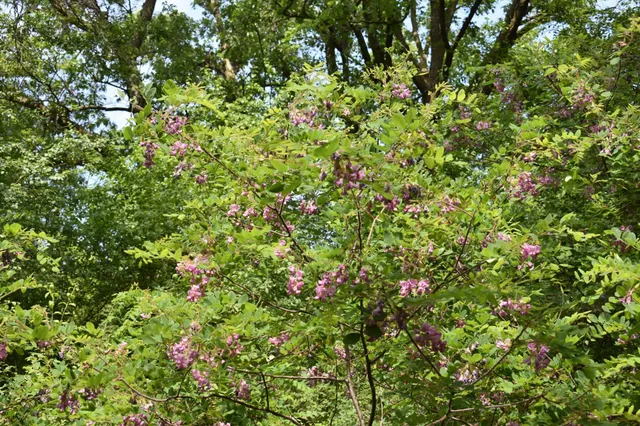 $250,000 | 5500 Rowland Road, Minnetonka, MN 55343