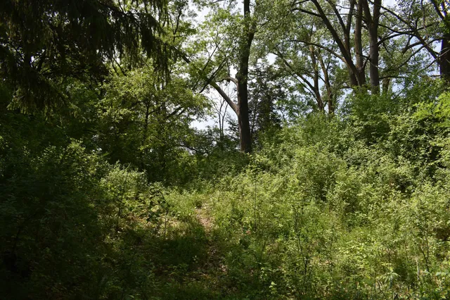 $250,000 | 5500 Rowland Road, Minnetonka, MN 55343