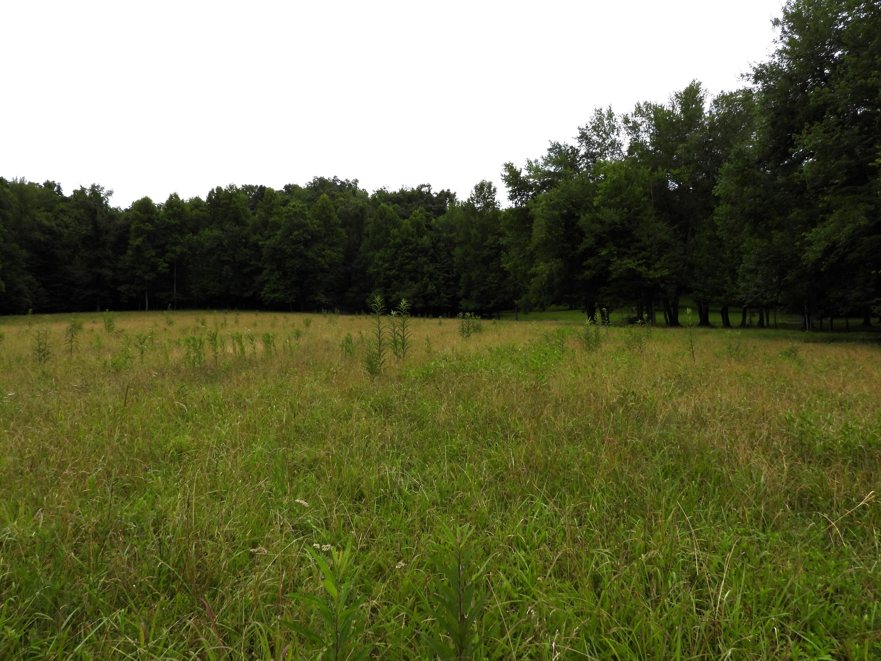 7600 Spencer Road Mount Sterling, KY 40353 - Photo 8 of 21 DSCN3572