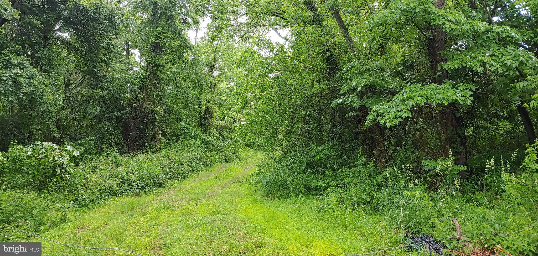 1300 Hedding Jacksonville Road Columbus, NJ 08022 - Photo 2 of 2