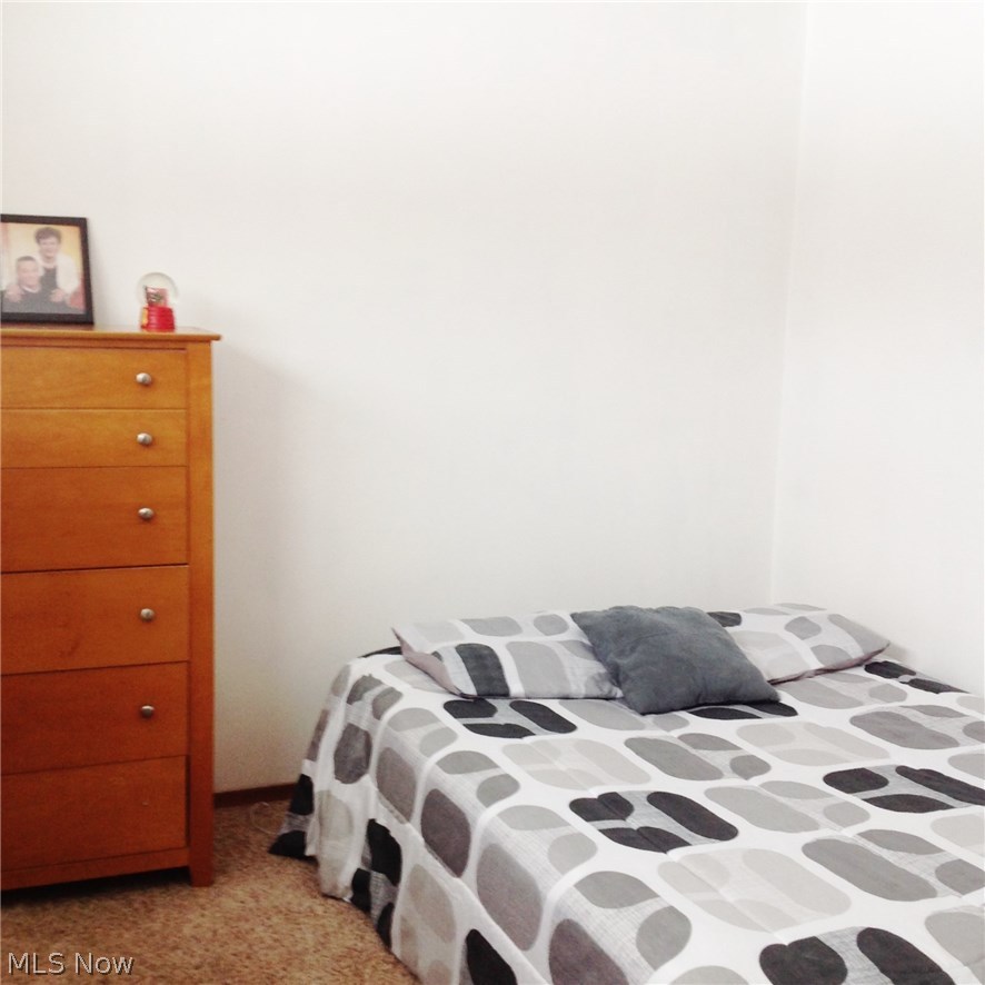 479 Harris Road Cleveland, OH 44143 - Photo 16 of 20 Gallery Image 16