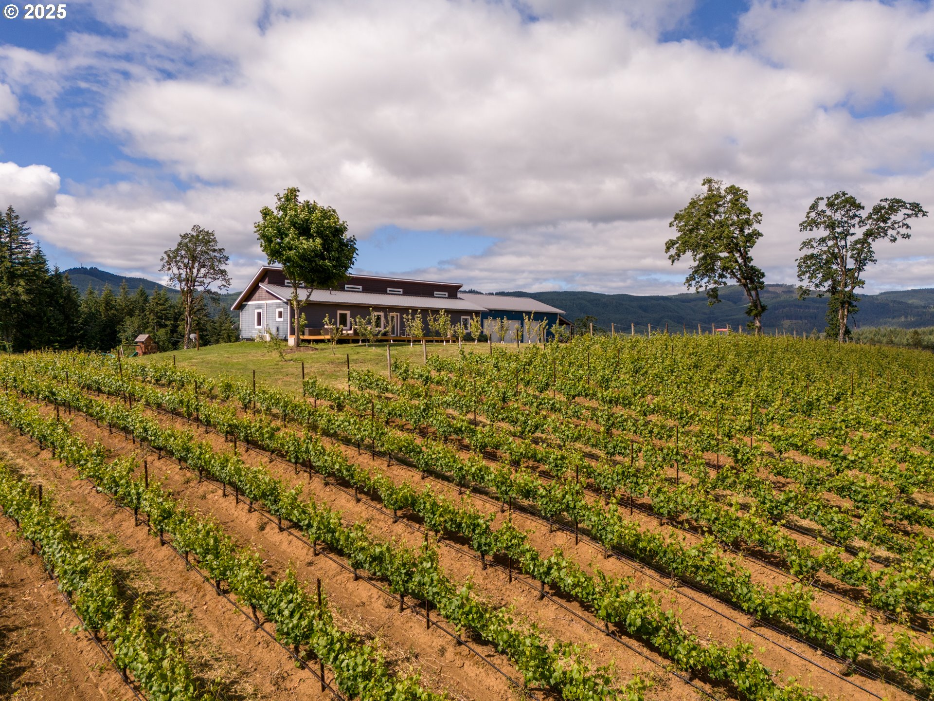 12000 Northwest Old Wagon Road Carlton, OR 97111 - Photo 46 of 47