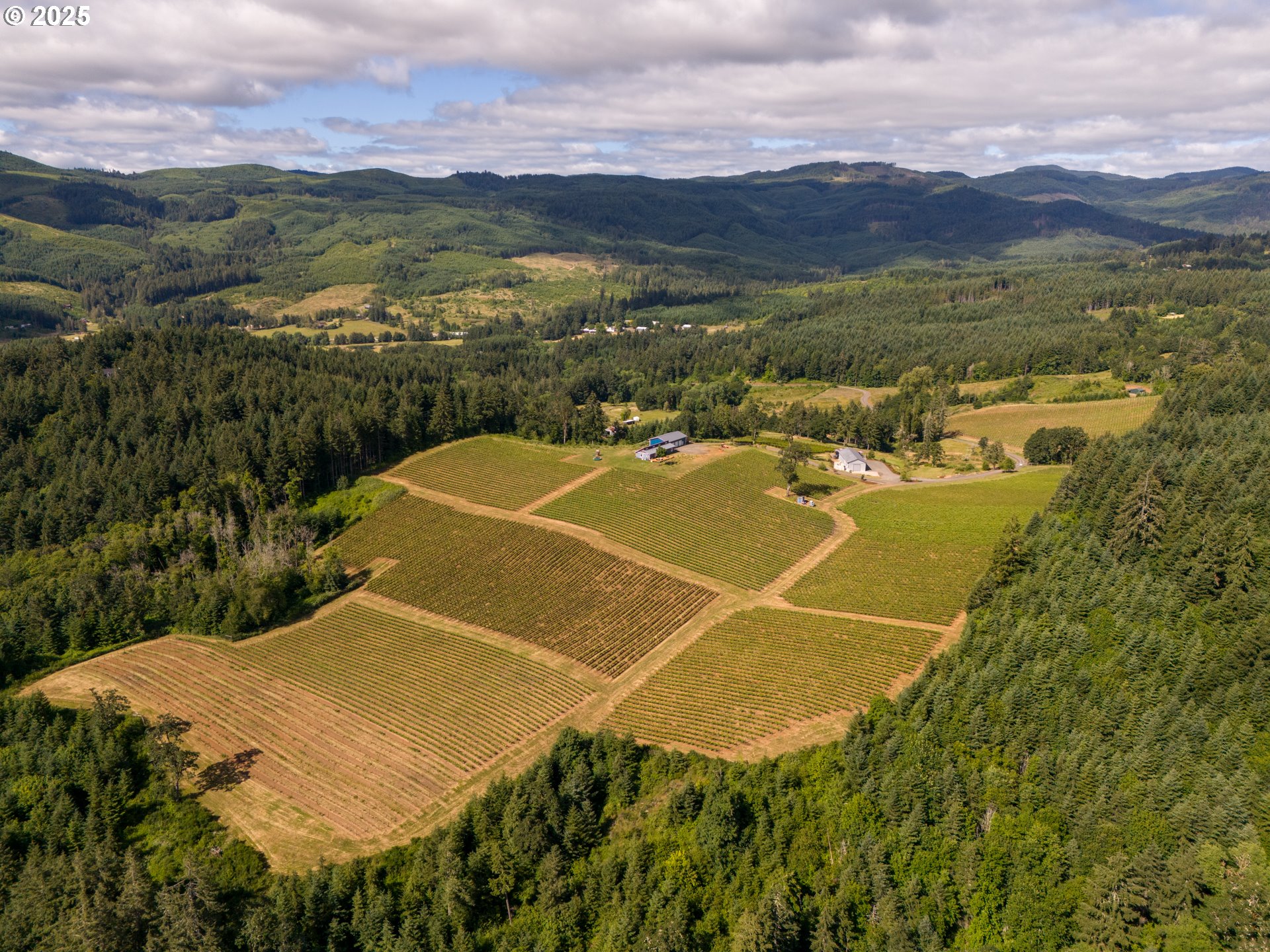 12000 Northwest Old Wagon Road Carlton, OR 97111 - Photo 5 of 47