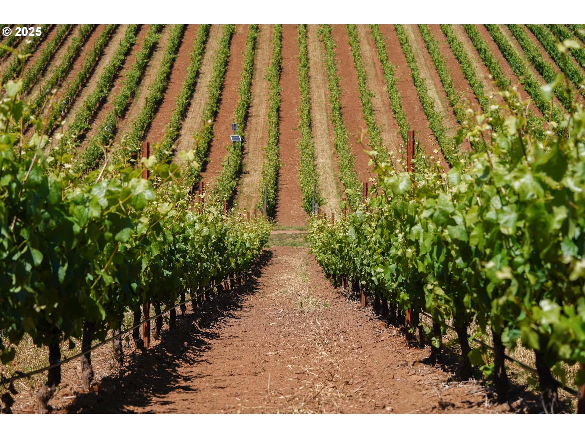 12000 Northwest Old Wagon Road Carlton, OR 97111 - Photo 8 of 47