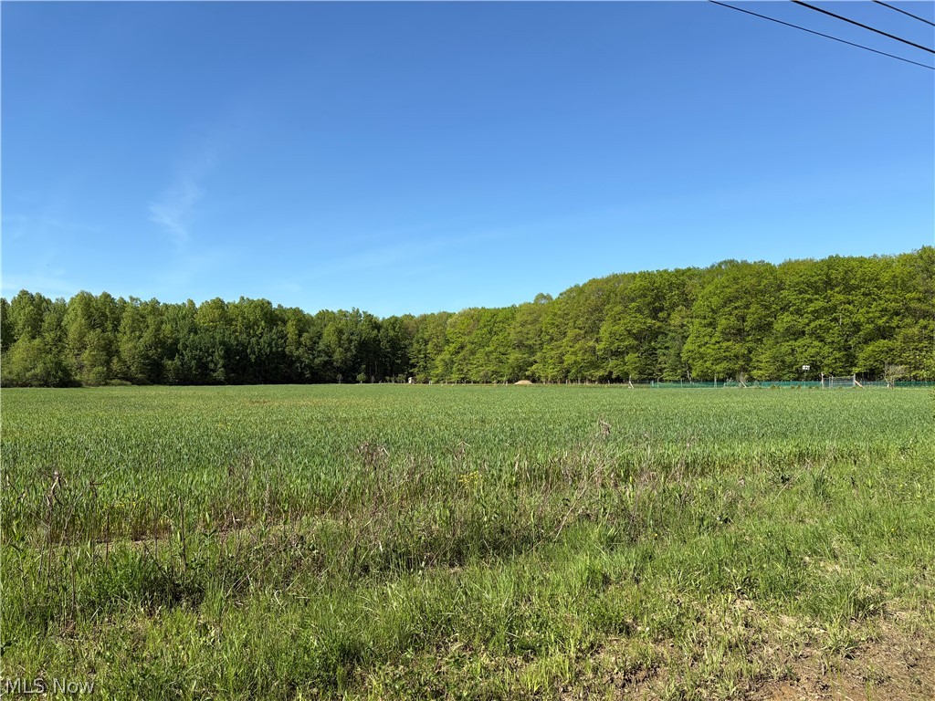 Vl Laskey Road Rome, OH 44085 - Photo 2 of 3