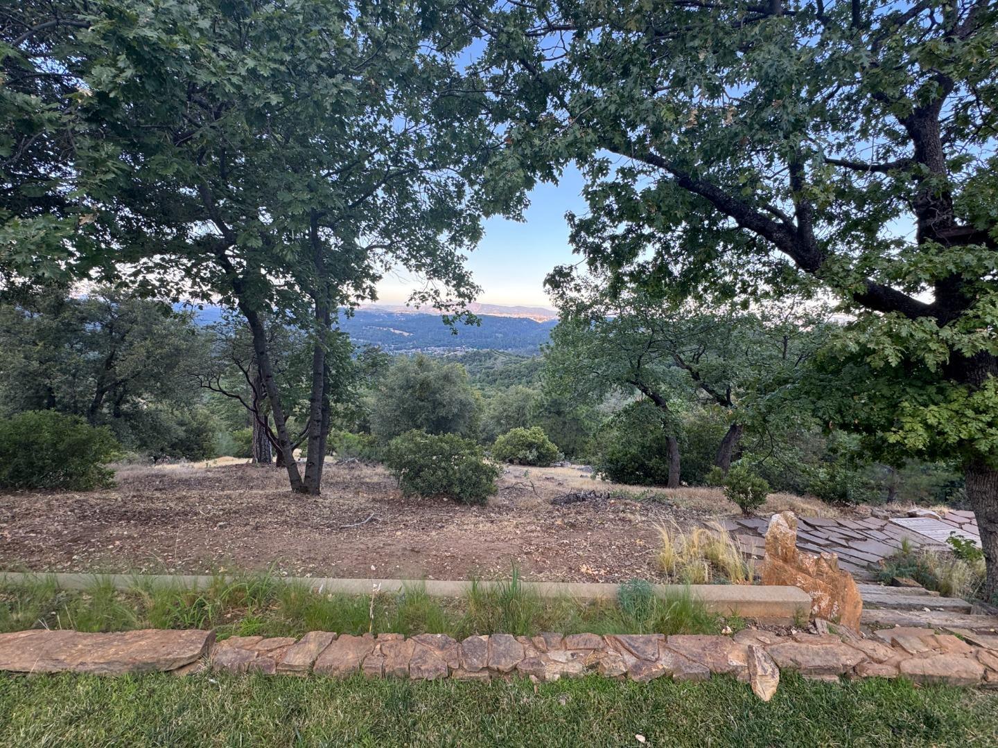 2251 Folendorf Road Murphys, CA 95247 - Photo 14 of 39 a view of a yard with a tree