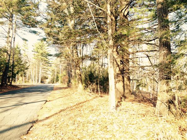 0 East Road Orange, MA 01364 - Photo 1 of 4 Gallery Image 1