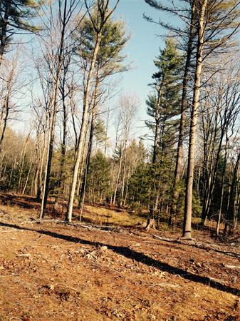 0 East Road Orange, MA 01364 - Photo 3 of 4 Gallery Image 3