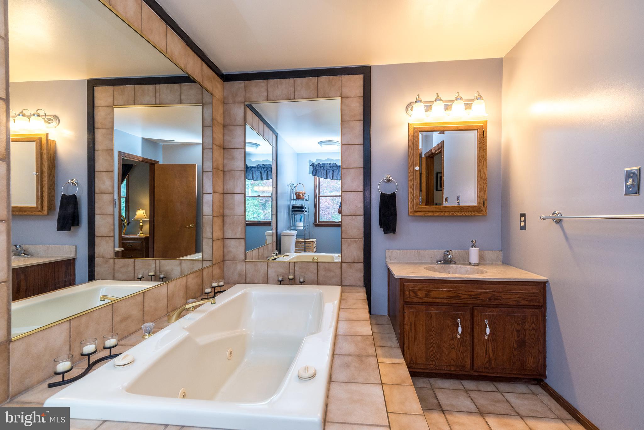 4704 Alisan Road Reading, PA 19606 - Photo 29 of 64 Master Bathroom
