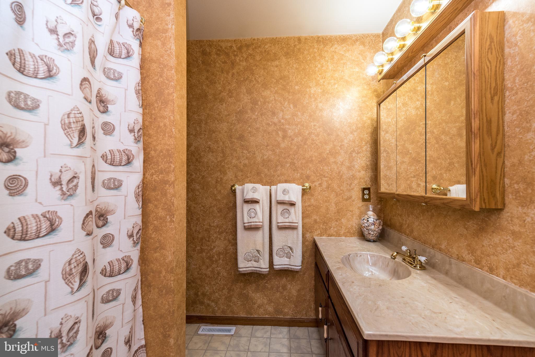 4704 Alisan Road Reading, PA 19606 - Photo 35 of 64 Upstairs Full Bathroom