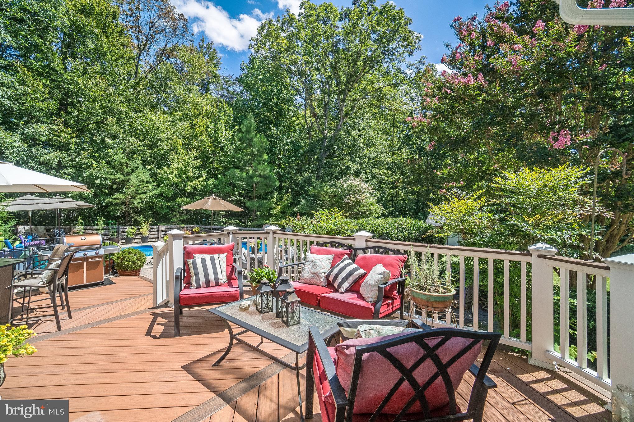 33 Marsh Run Road Fredericksburg, VA 22406 - Photo 6 of 36 Gallery Image 6