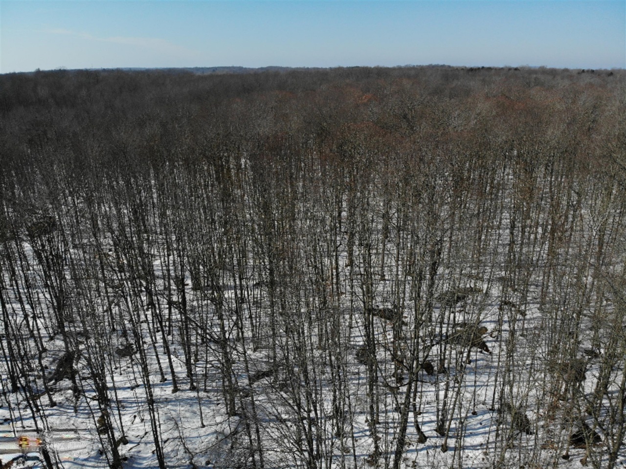 Vl Paw Paw Lake Road Covert, MI 49043 - Photo 7 of 31 Gallery Image 7