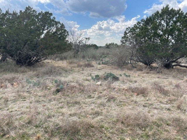 0 Tres Chivos Viejos Road Mason, TX 76856 - Photo 3 of 8 a view of a dry yard with trees
