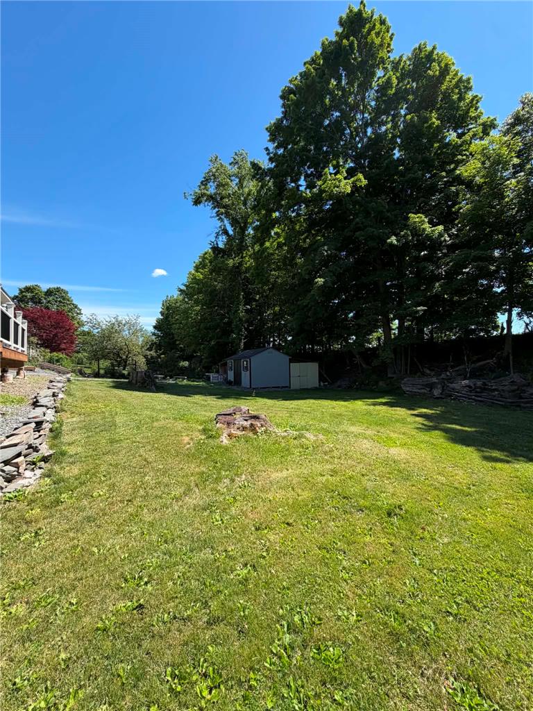164 Sand Spring Road Cresco, PA 18326 - Photo 21 of 60 A spacious, verdant yard extends towards towering trees, offering ample room for outdoor activities.