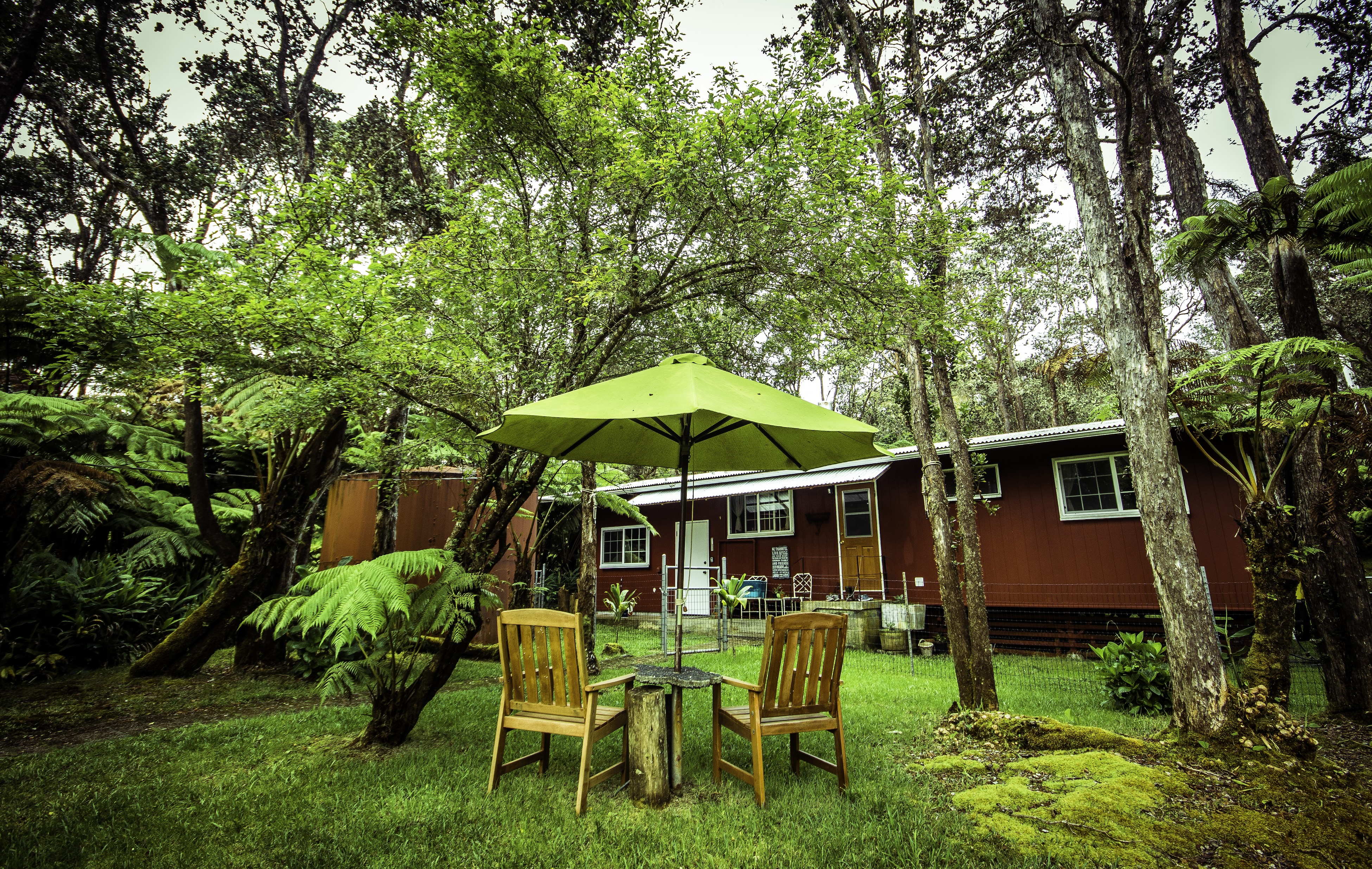 a view of backyard with seating and green space
