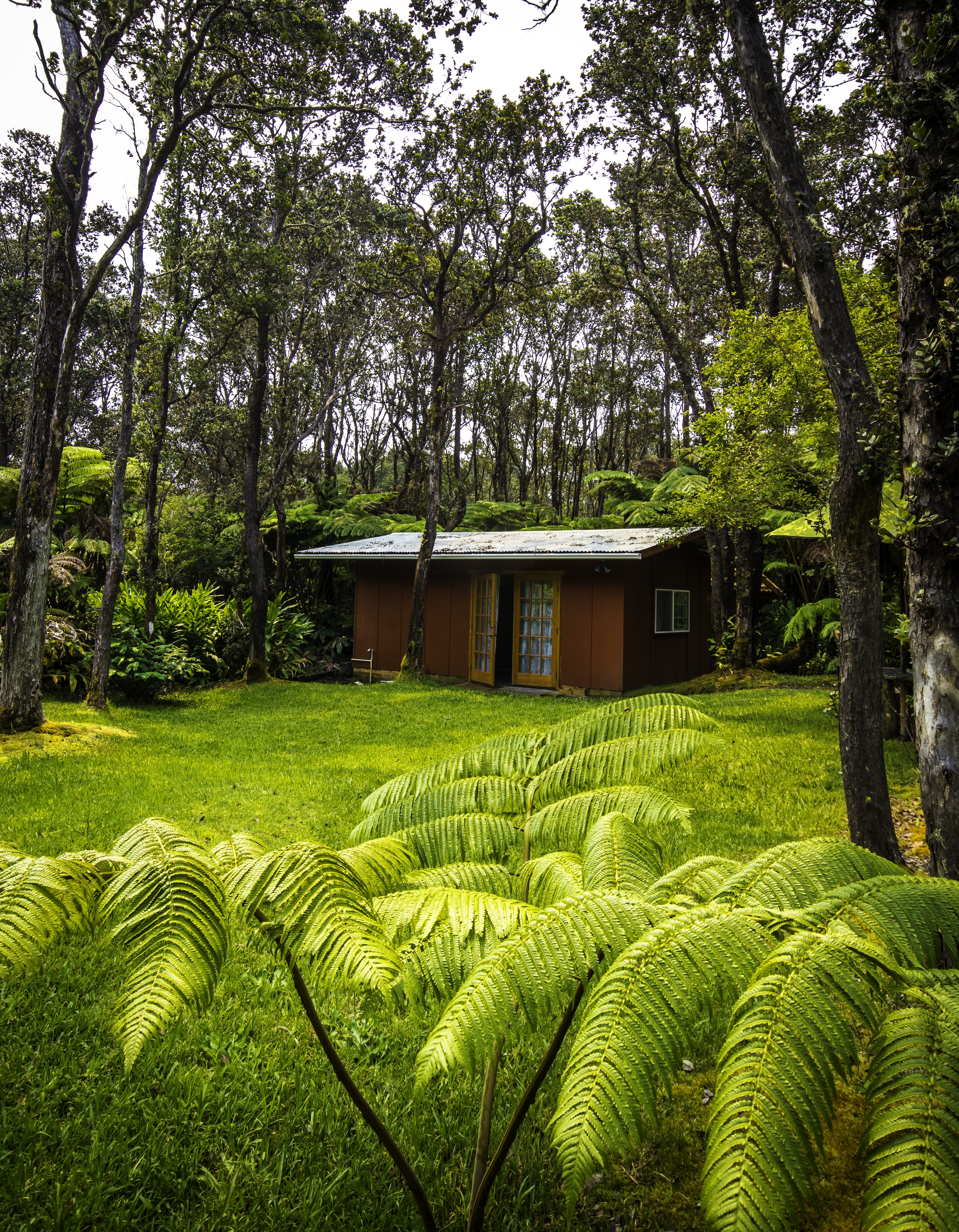 11-3972 Lanihuli Road Volcano, HI 96785 - Photo 15 of 21 a view of a house with a swimming pool