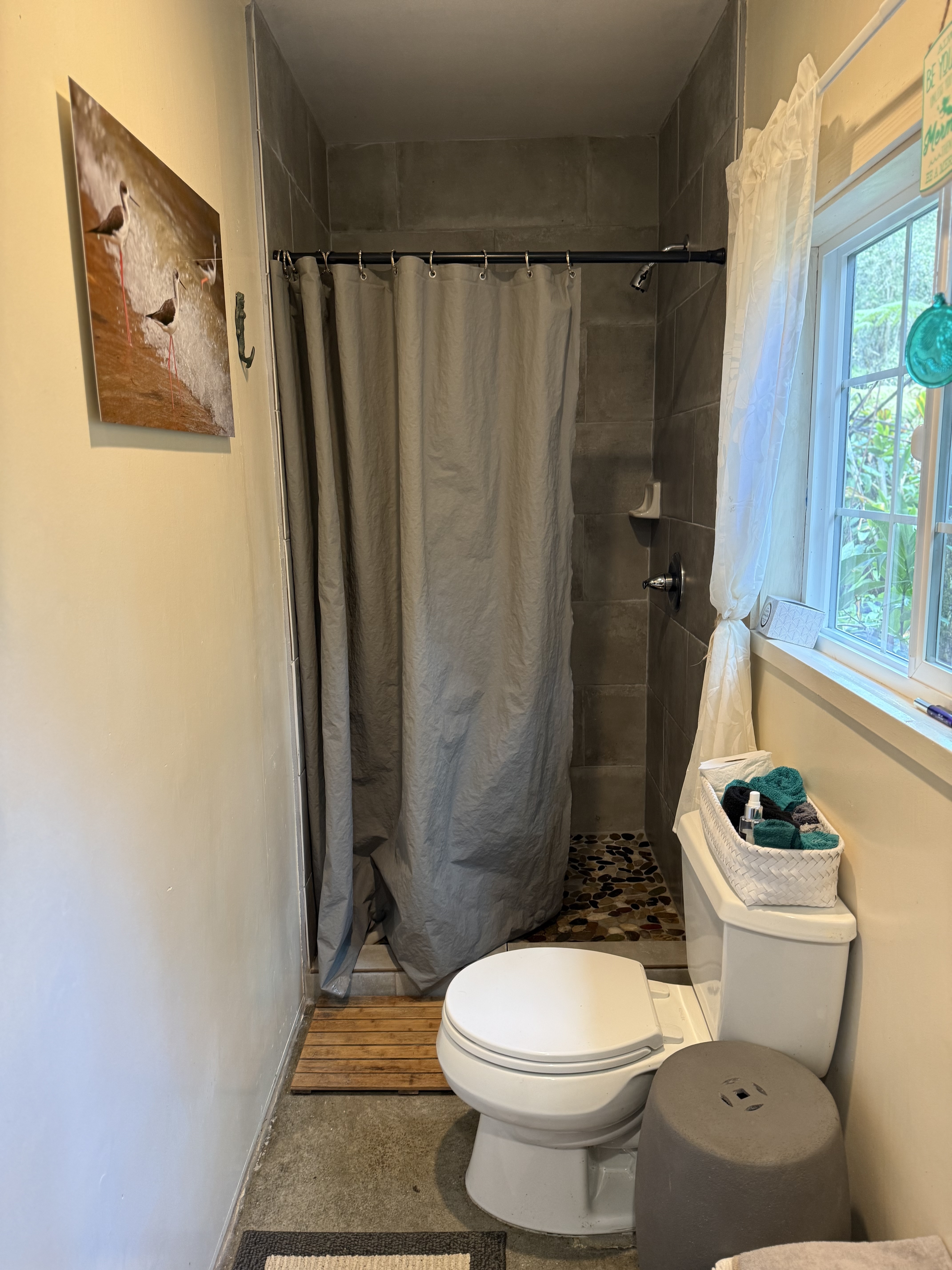 11-3972 Lanihuli Road Volcano, HI 96785 - Photo 21 of 21 a bathroom with a toilet and a shower