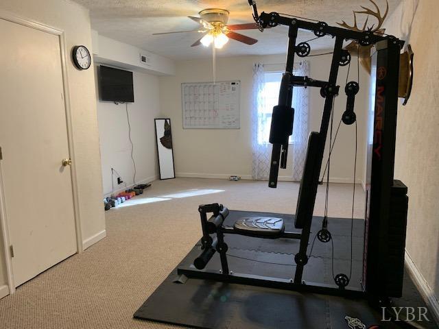 203 Kimball Road Concord, VA 24538 - Photo 18 of 27 a view of a room with gym equipment