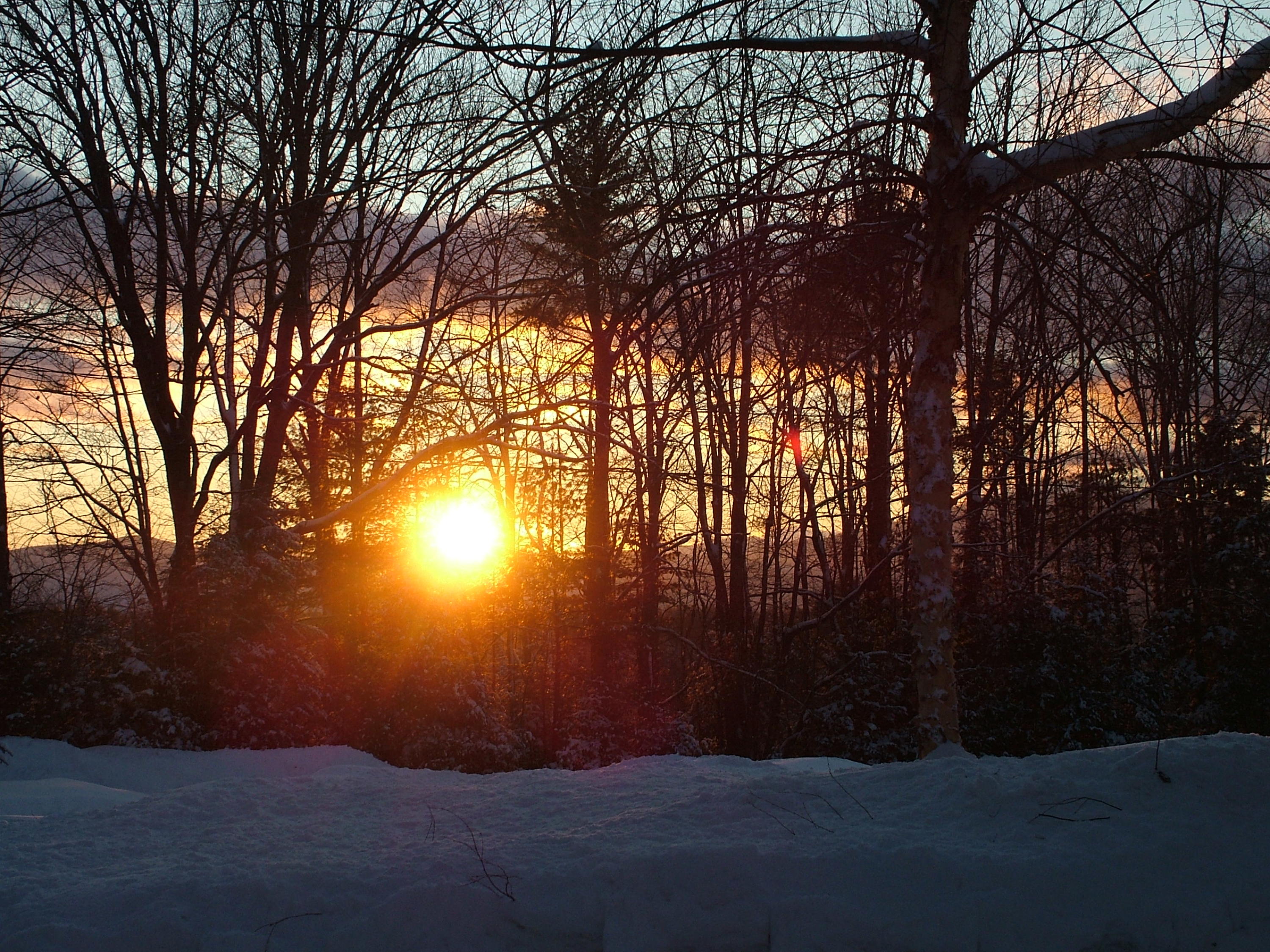 17 Little House Road Lovell, ME 04051 - Photo 51 of 63 51