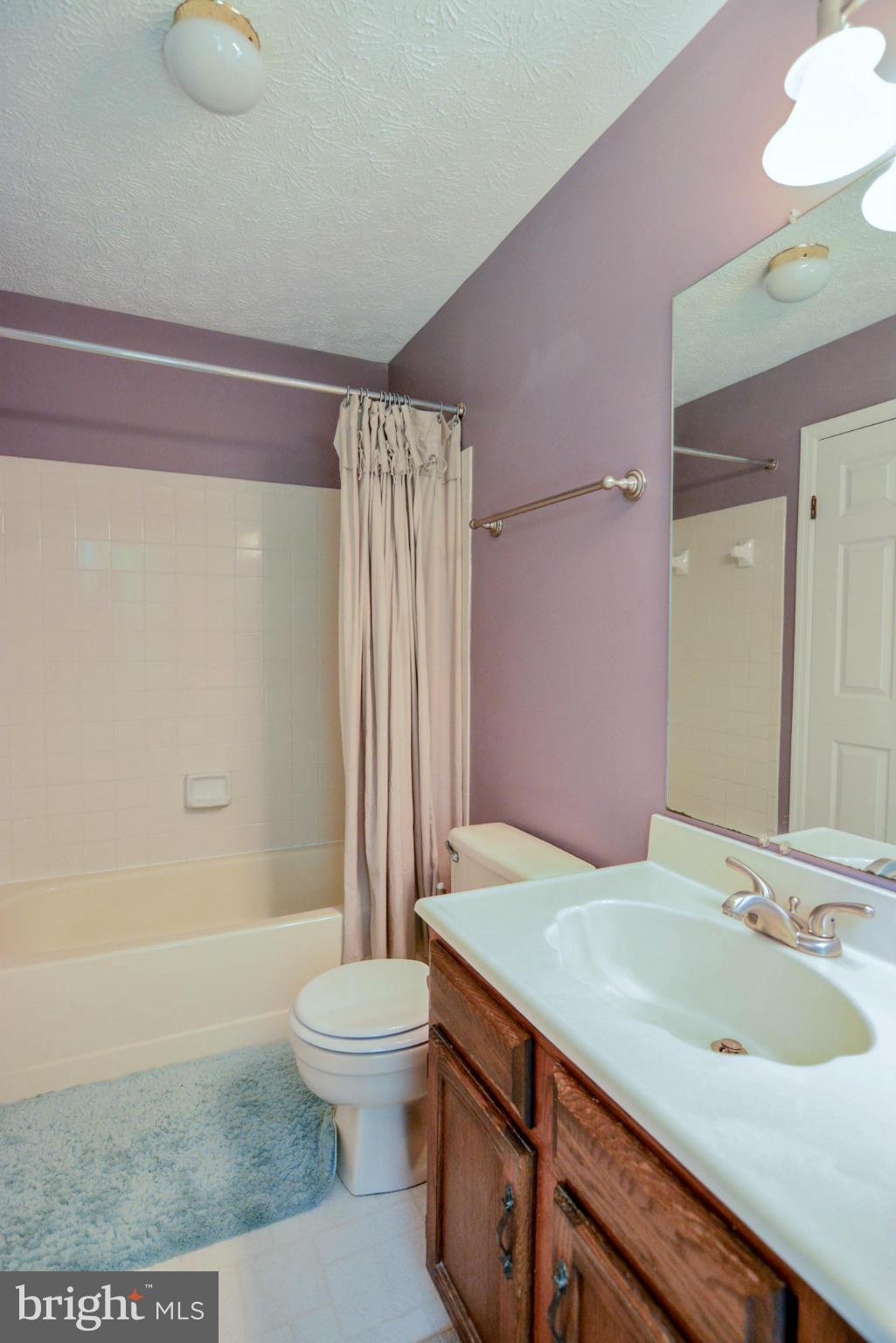 1945 East Beech Road Sterling, VA 20164 - Photo 16 of 30 Bath (Master)