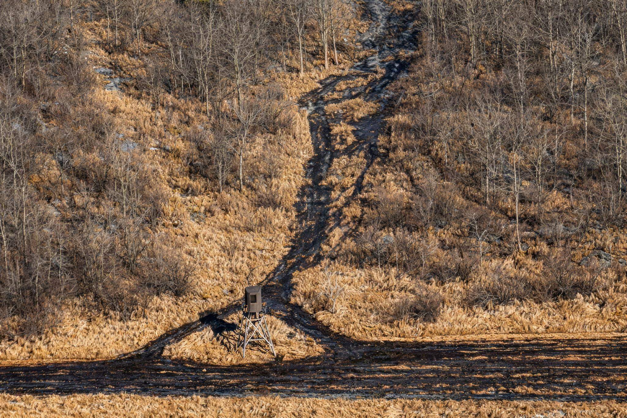 30th Rd Pine River Weyauwega, WI 54983 - Photo 11 of 28