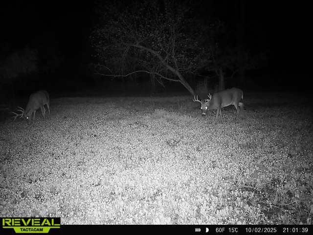 30th Rd Pine River Weyauwega, WI 54983 - Photo 3 of 28