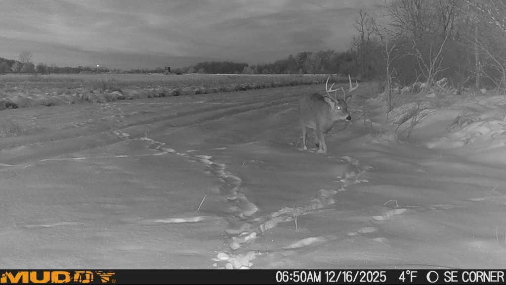 30th Rd Pine River Weyauwega, WI 54983 - Photo 6 of 28