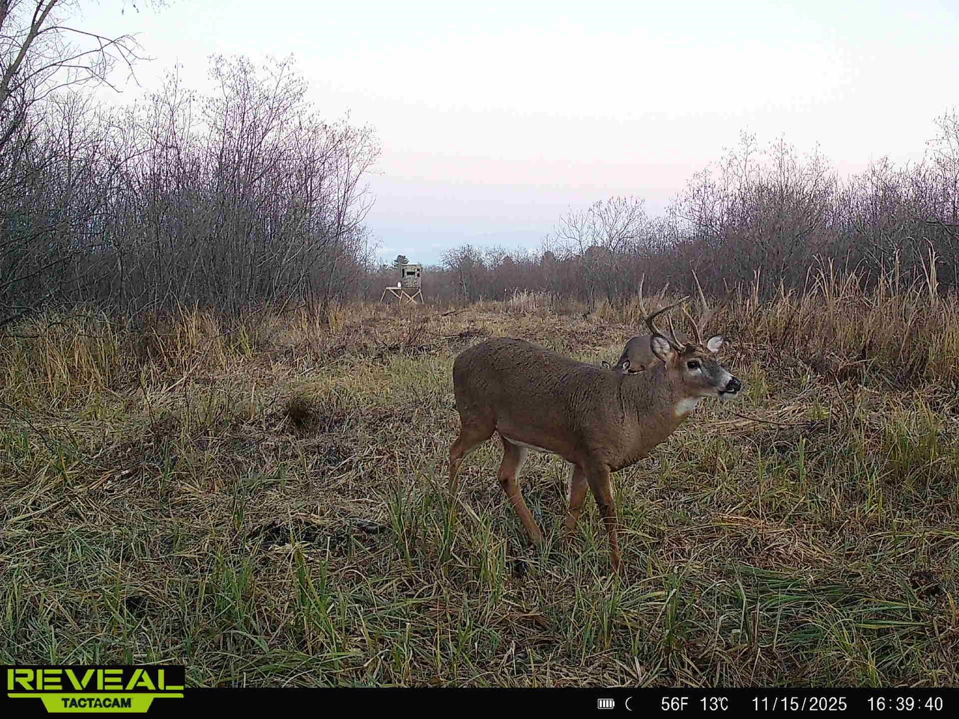 30th Rd Pine River Weyauwega, WI 54983 - Photo 7 of 28