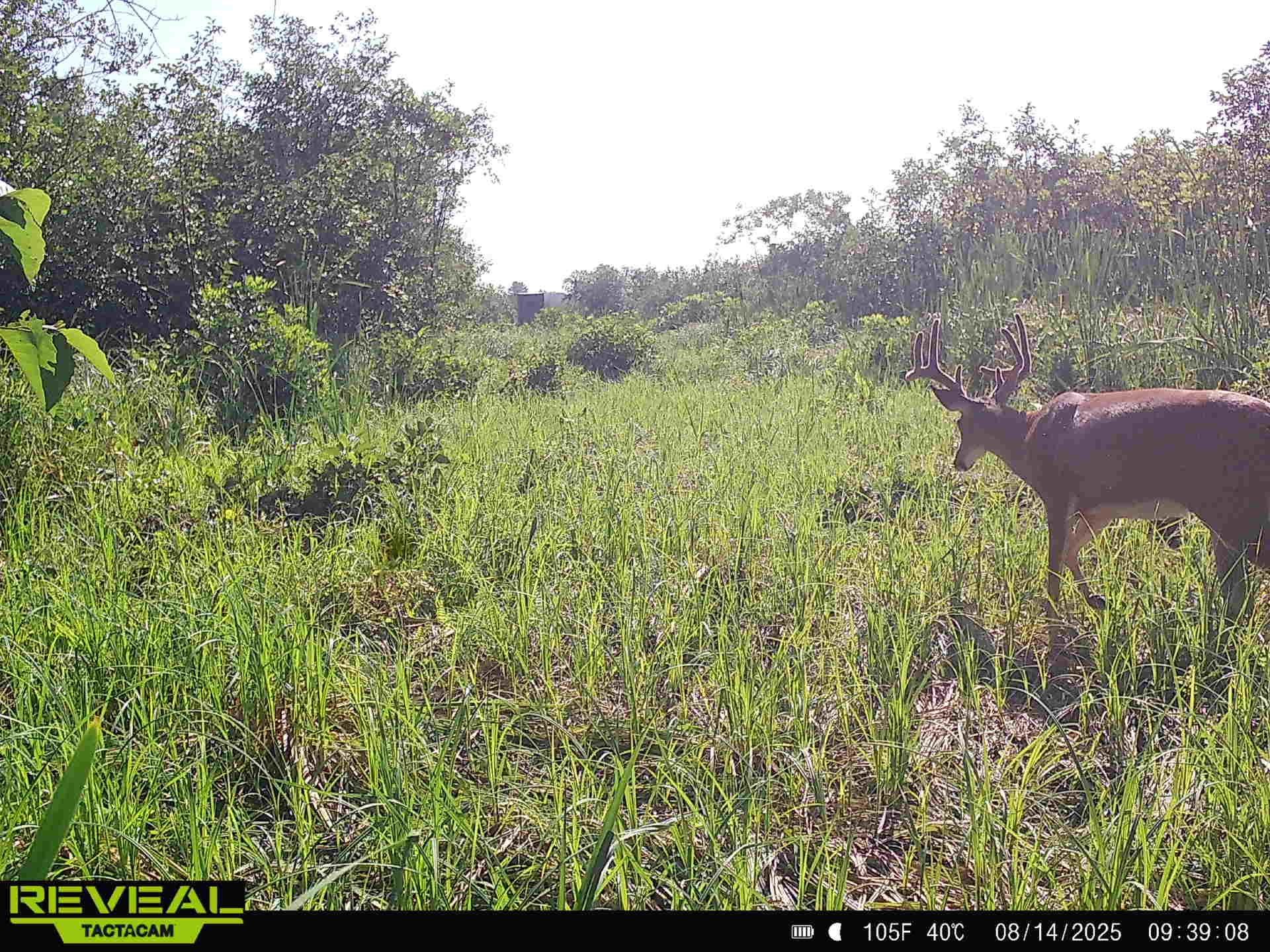30th Rd Pine River Weyauwega, WI 54983 - Photo 8 of 28