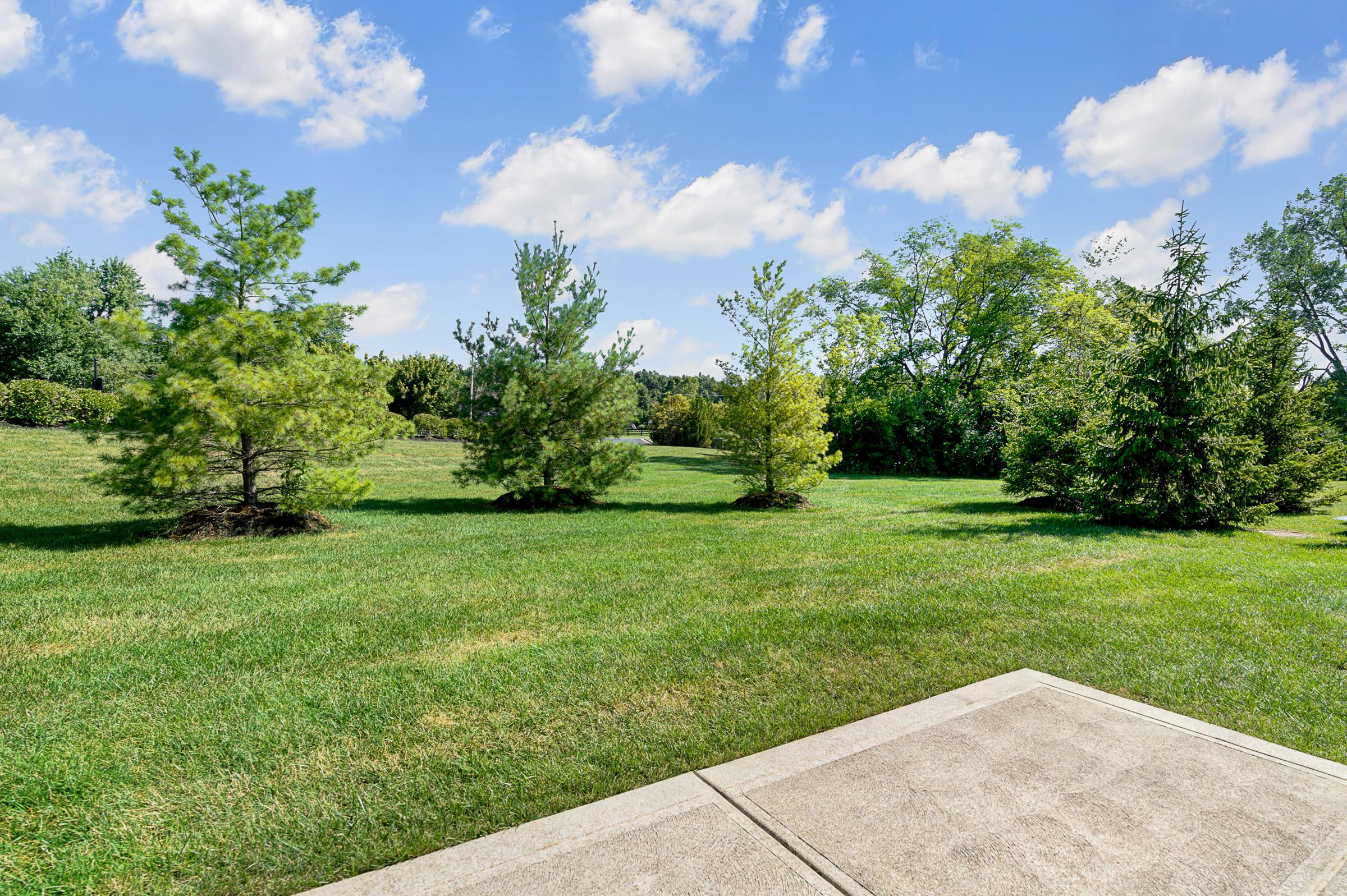 5666 Silver Frost Road Westerville, OH 43081 - Photo 27 of 34