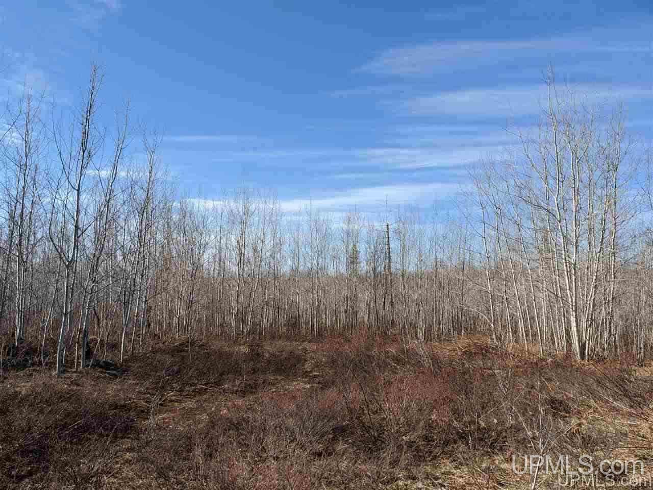 1 Little Bull Road, Unit N1/2NW1/4 Crystal Falls, MI 49920 - Photo 4 of 13