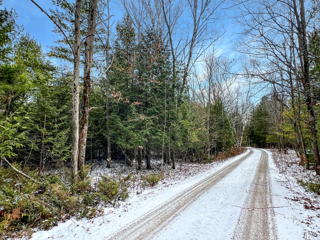 Parcel A Gibraltar Blf Road Fish Creek, WI 54212 - Photo 6 of 11