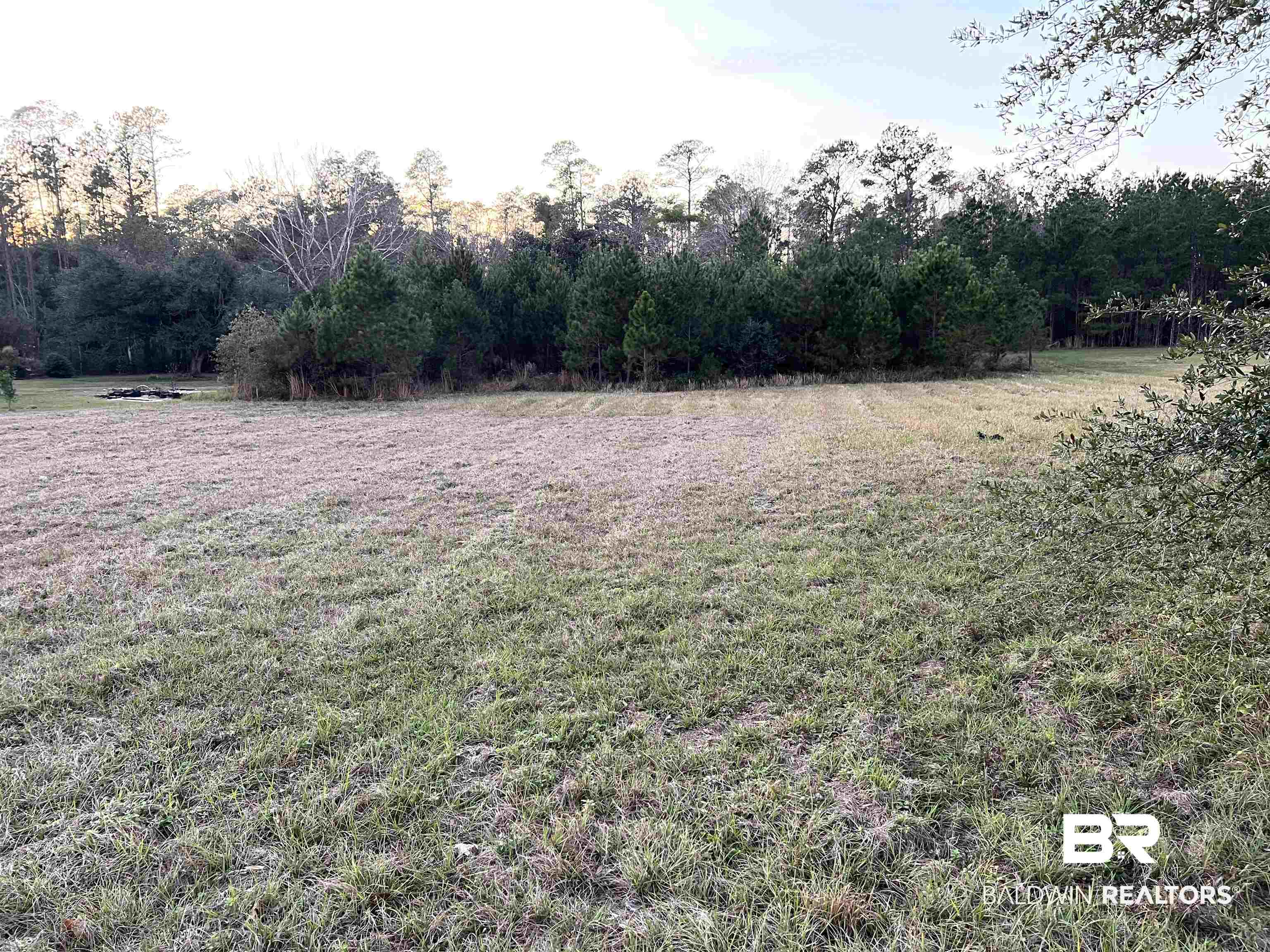 23331 Balsam Creek Drive Elberta, AL 36530 - Photo 7 of 17