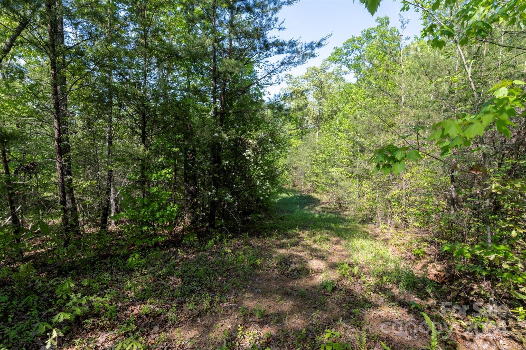 99999 Shady Bark Lane, Unit 41 Rutherfordton, NC 28139 - Photo 11 of 32