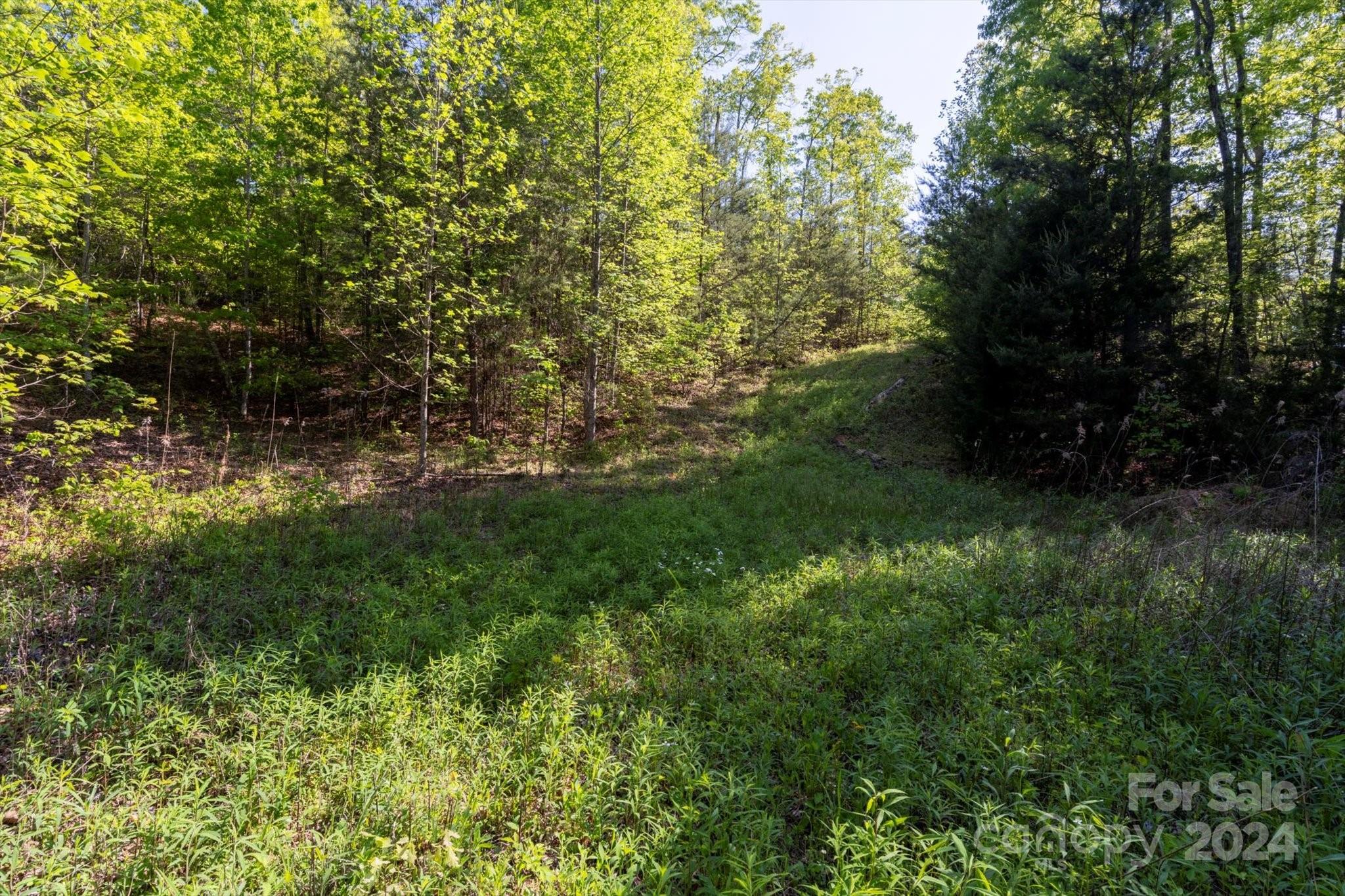 99999 Shady Bark Lane, Unit 41 Rutherfordton, NC 28139 - Photo 12 of 32