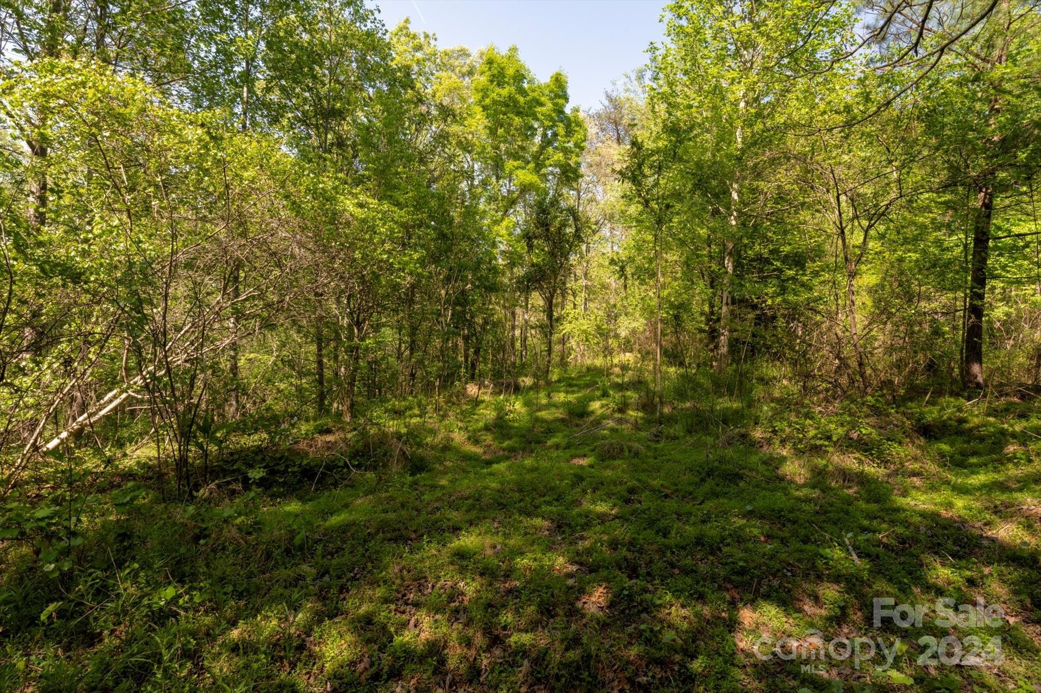 99999 Shady Bark Lane, Unit 41 Rutherfordton, NC 28139 - Photo 13 of 32