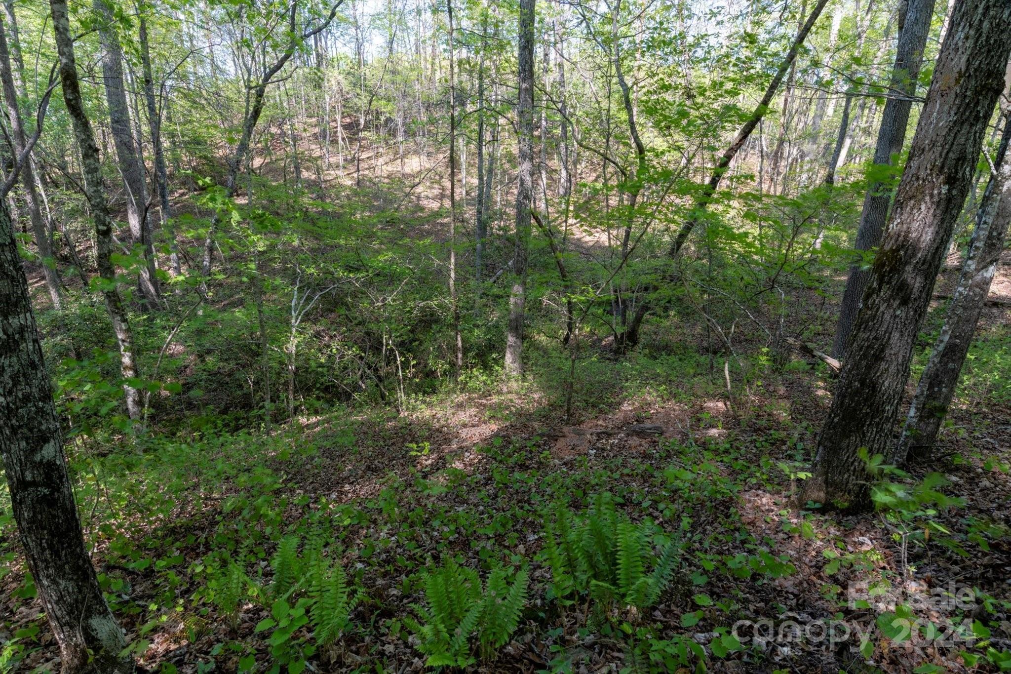 99999 Shady Bark Lane, Unit 41 Rutherfordton, NC 28139 - Photo 14 of 32