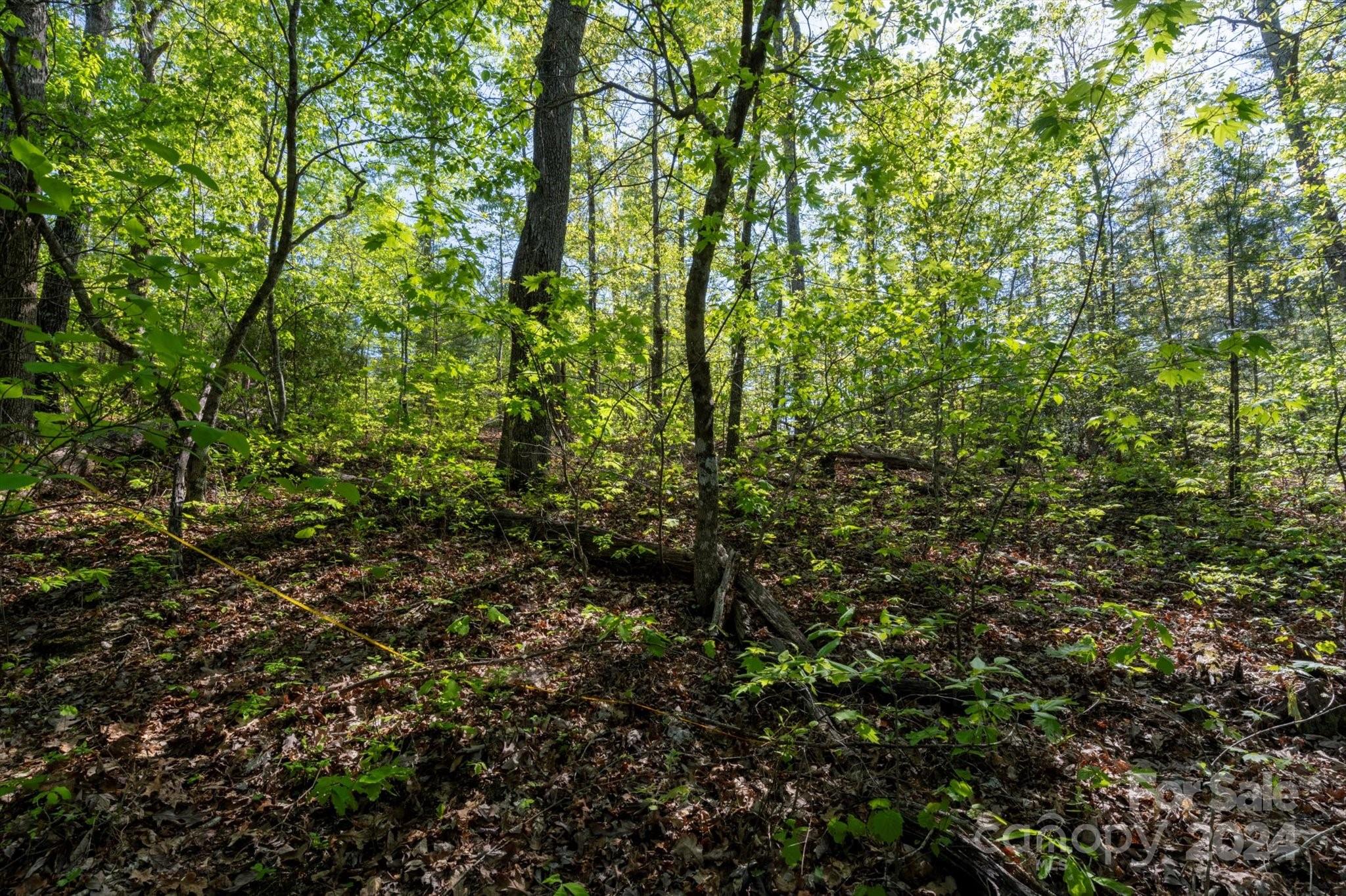 99999 Shady Bark Lane, Unit 41 Rutherfordton, NC 28139 - Photo 15 of 32