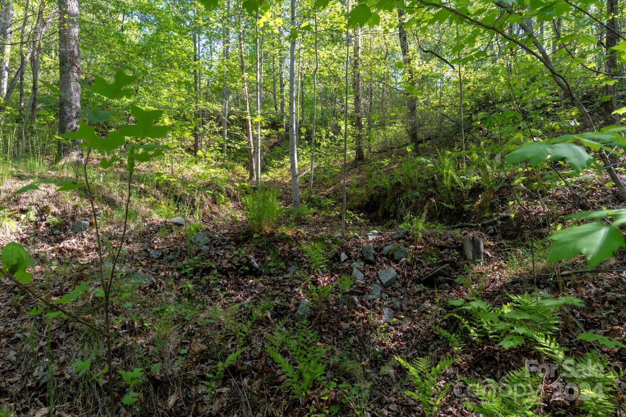 99999 Shady Bark Lane, Unit 41 Rutherfordton, NC 28139 - Photo 17 of 32