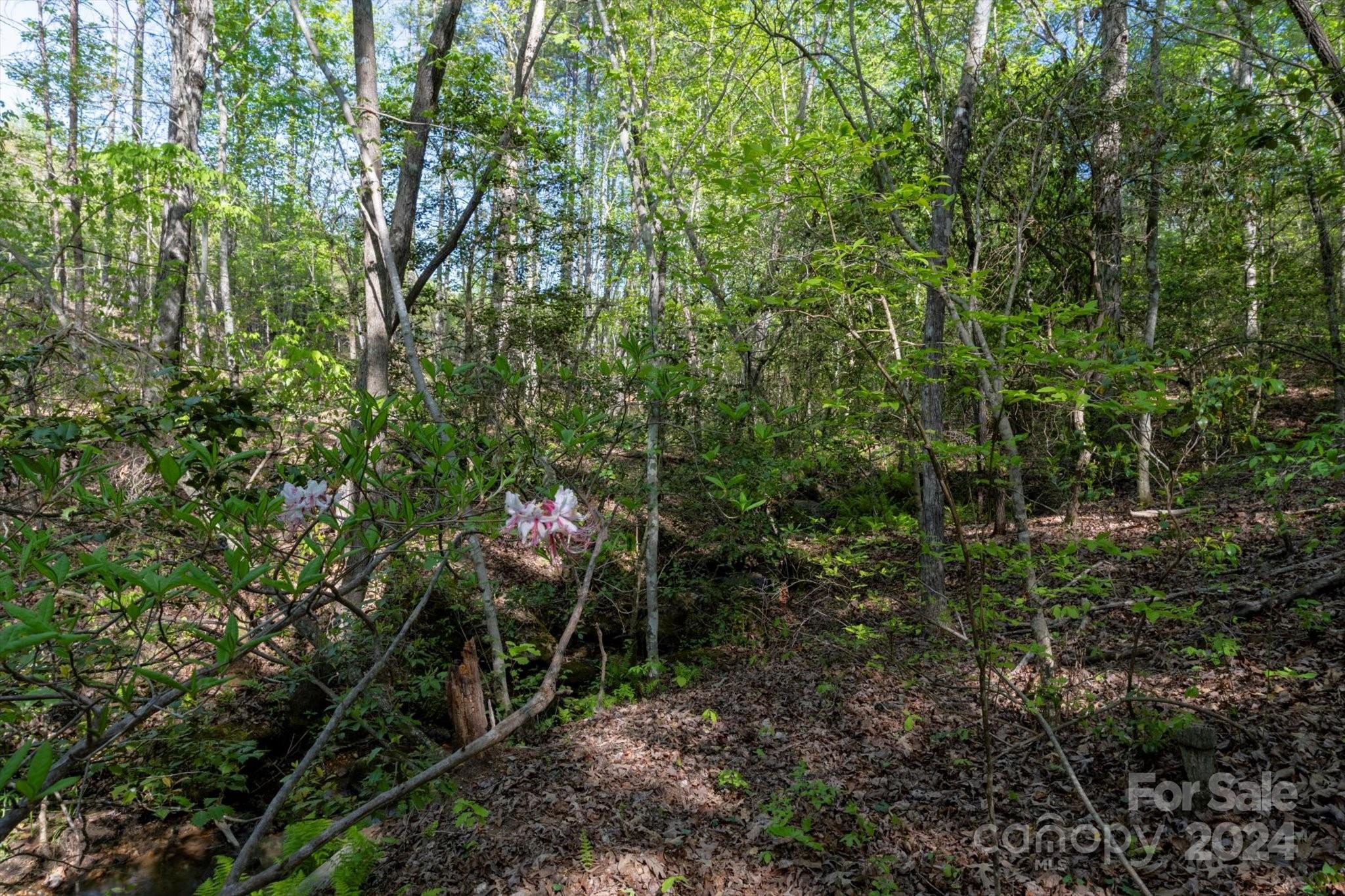 99999 Shady Bark Lane, Unit 41 Rutherfordton, NC 28139 - Photo 18 of 32