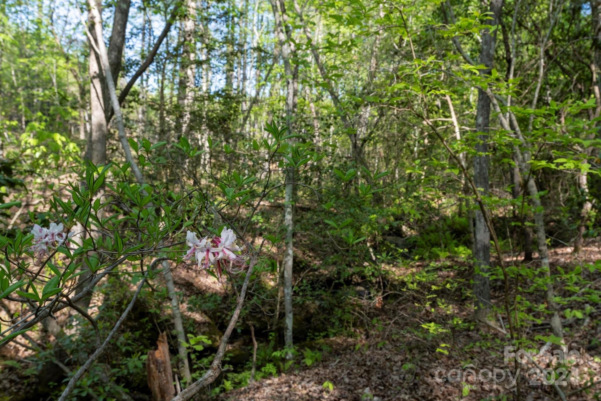 99999 Shady Bark Lane, Unit 41 Rutherfordton, NC 28139 - Photo 19 of 32