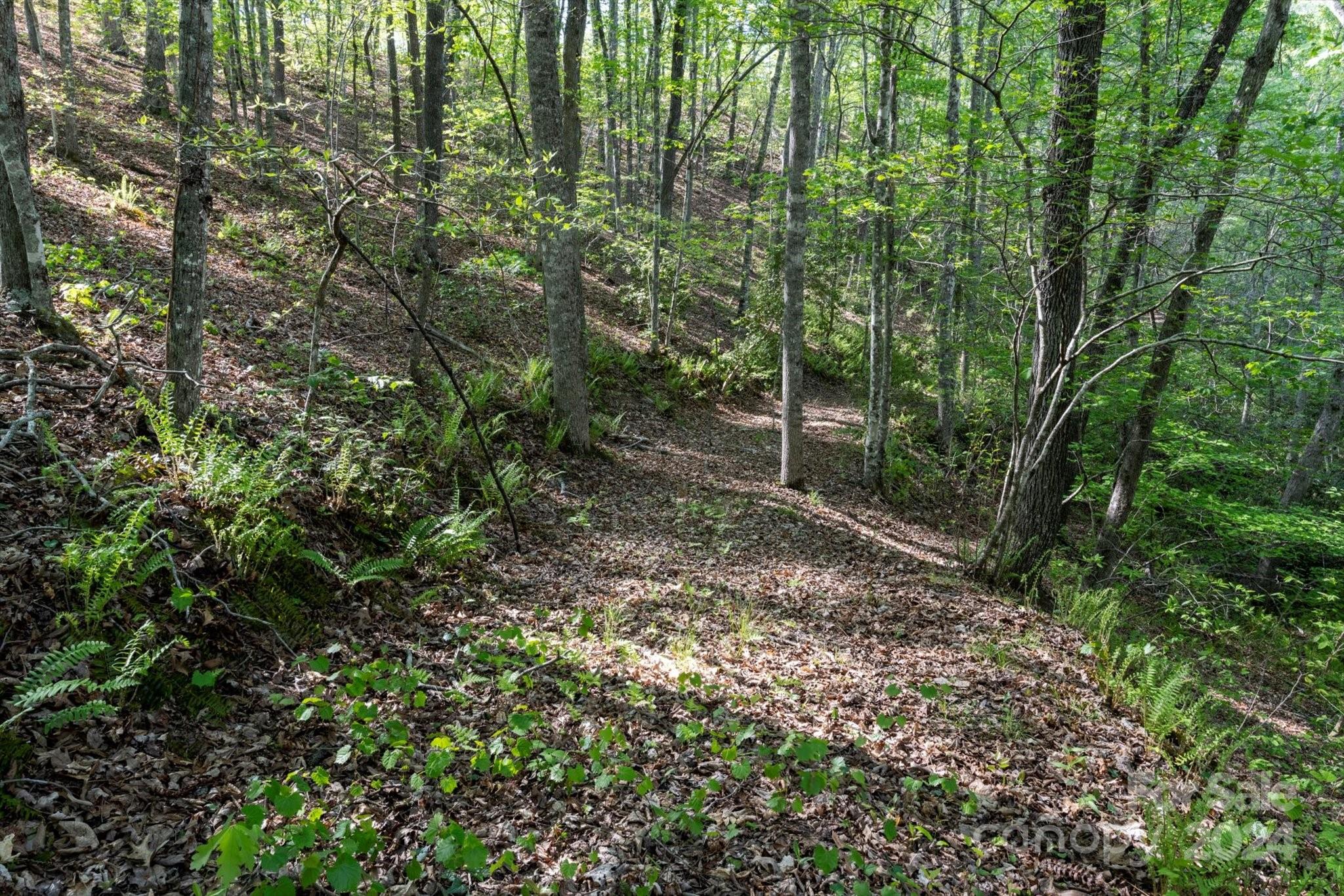 99999 Shady Bark Lane, Unit 41 Rutherfordton, NC 28139 - Photo 20 of 32
