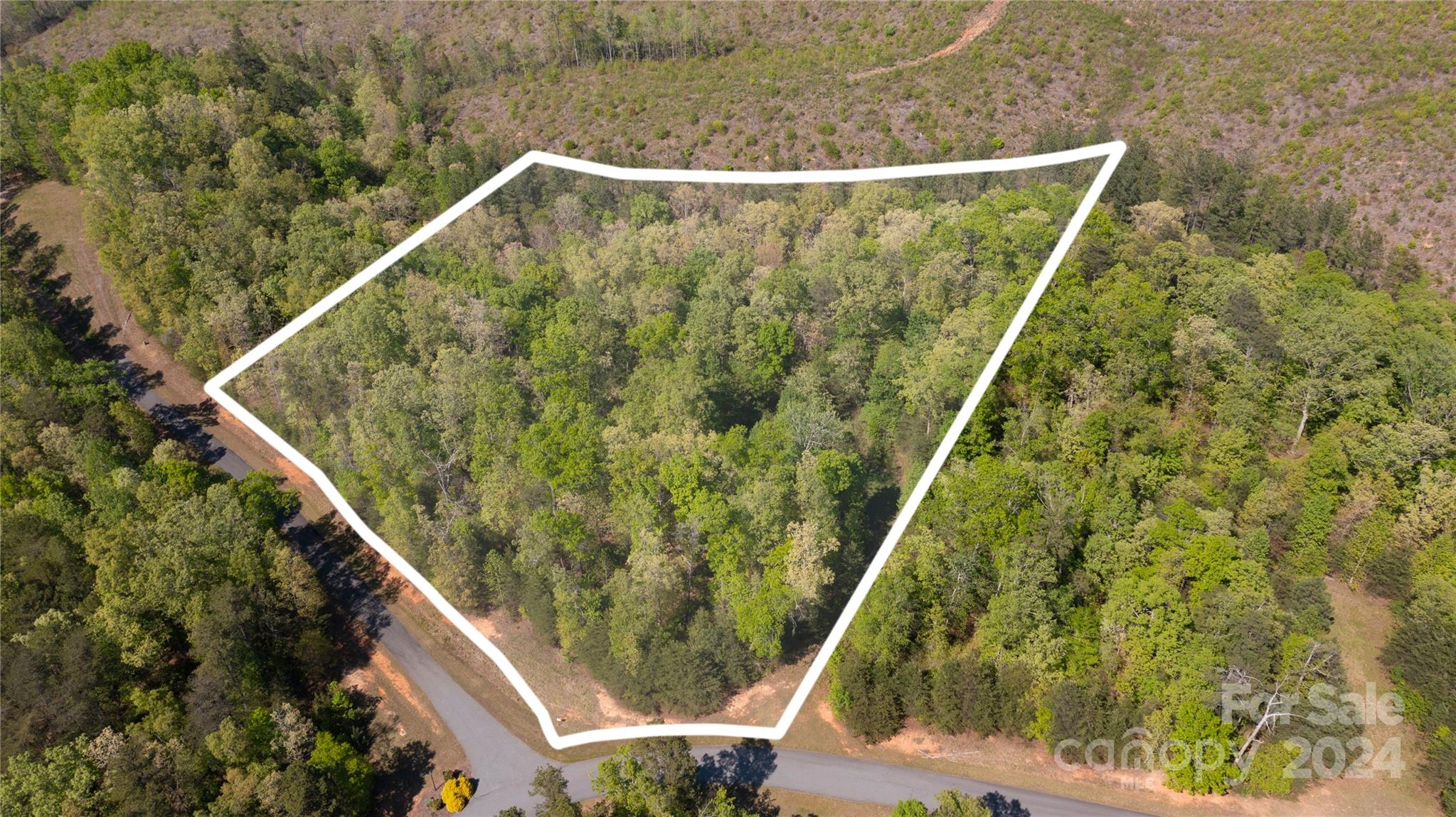 99999 Shady Bark Lane, Unit 41 Rutherfordton, NC 28139 - Photo 2 of 32