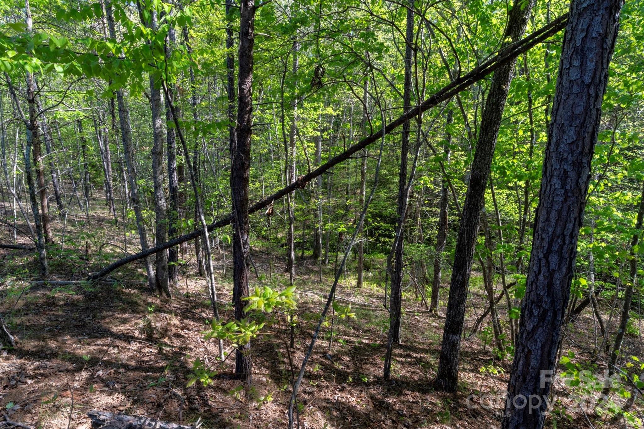 99999 Shady Bark Lane, Unit 41 Rutherfordton, NC 28139 - Photo 21 of 32