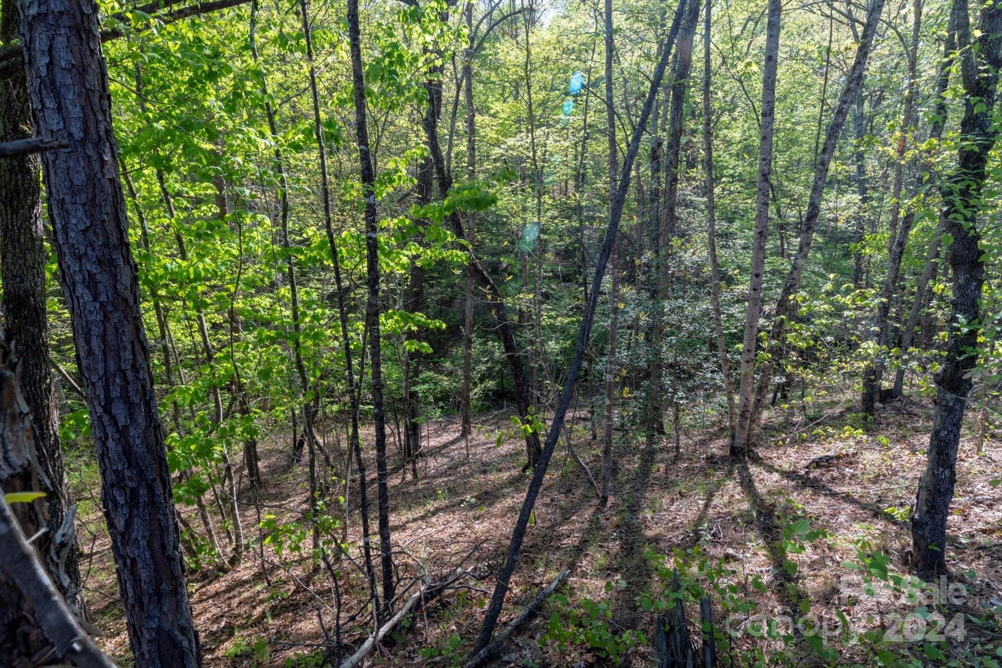 99999 Shady Bark Lane, Unit 41 Rutherfordton, NC 28139 - Photo 22 of 32