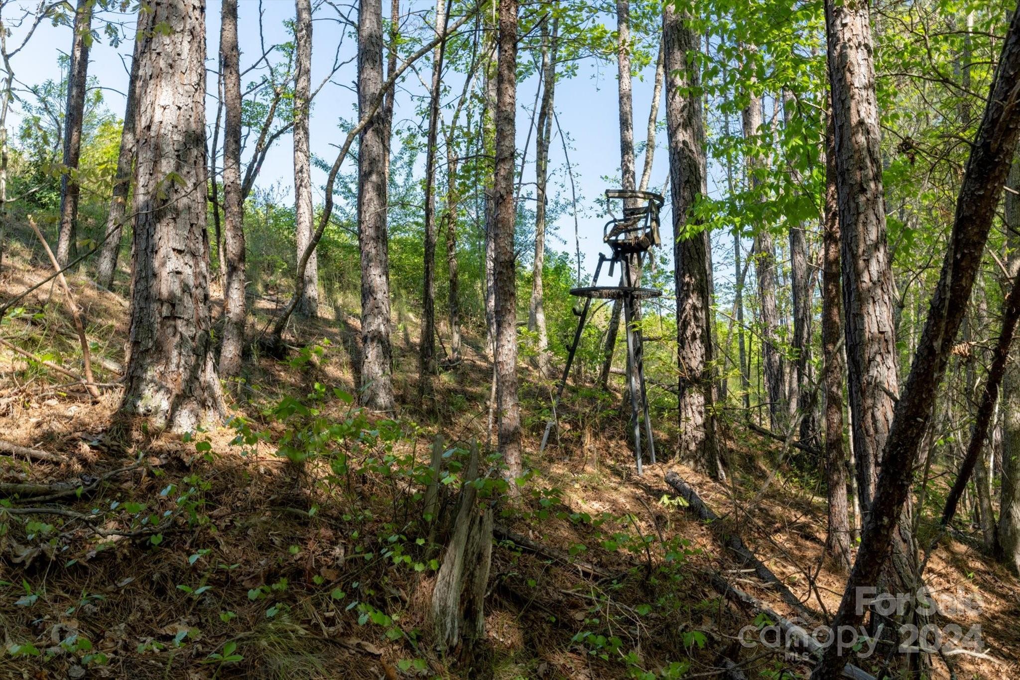 99999 Shady Bark Lane, Unit 41 Rutherfordton, NC 28139 - Photo 23 of 32