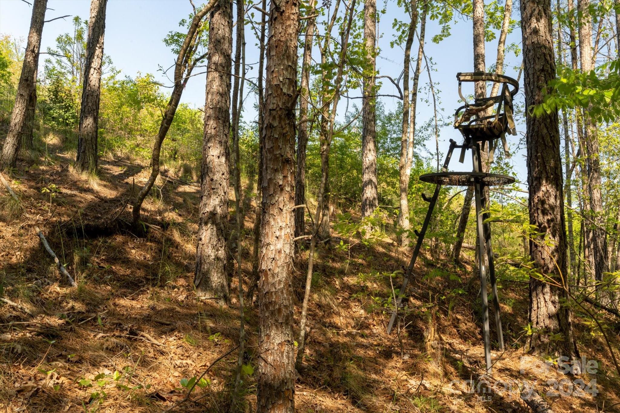 99999 Shady Bark Lane, Unit 41 Rutherfordton, NC 28139 - Photo 24 of 32