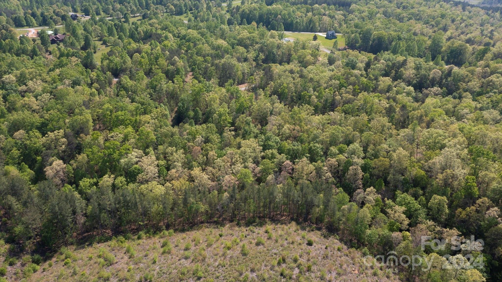 99999 Shady Bark Lane, Unit 41 Rutherfordton, NC 28139 - Photo 27 of 32