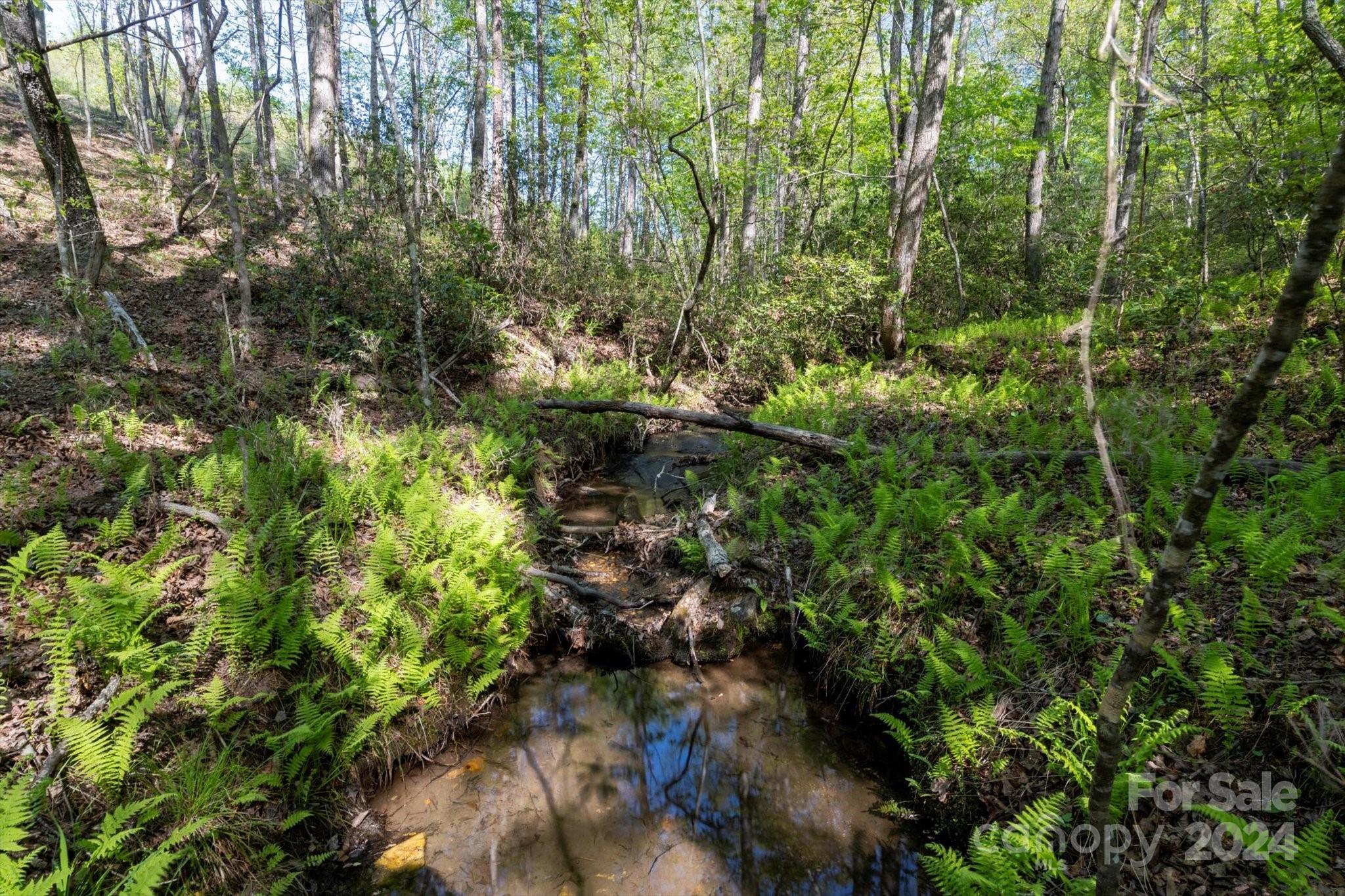 99999 Shady Bark Lane, Unit 41 Rutherfordton, NC 28139 - Photo 3 of 32