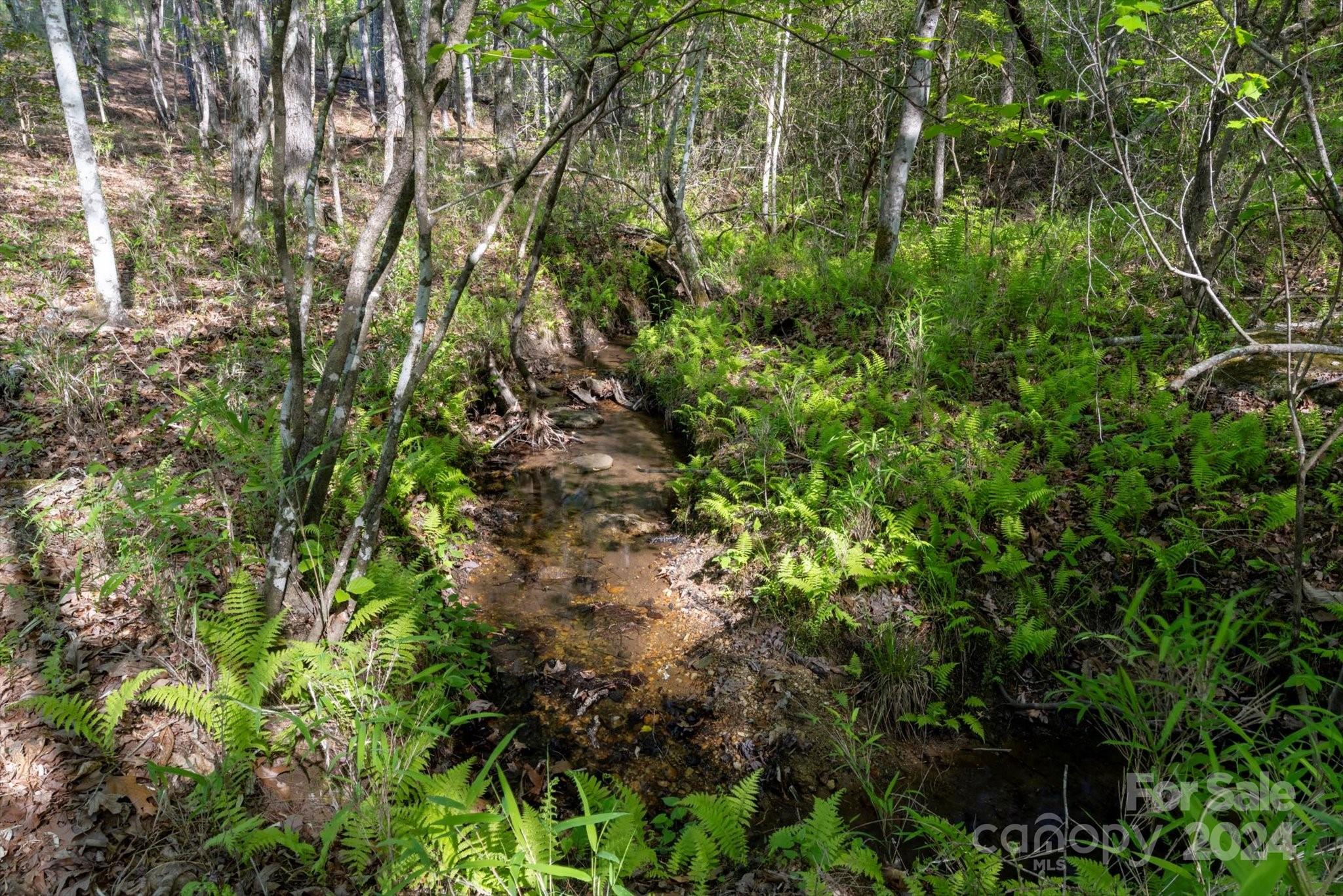 99999 Shady Bark Lane, Unit 41 Rutherfordton, NC 28139 - Photo 4 of 32